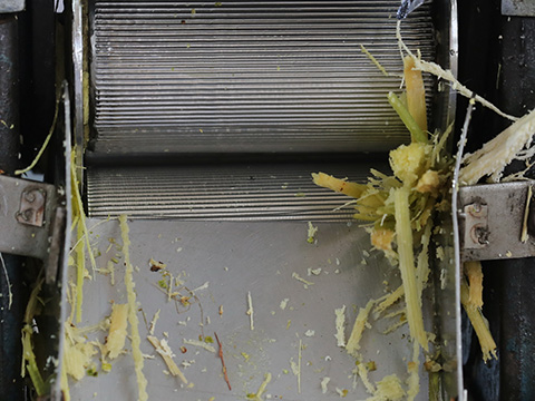 Transformation du sucre